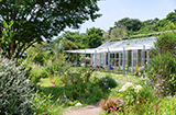 犬島 くらしの植物園