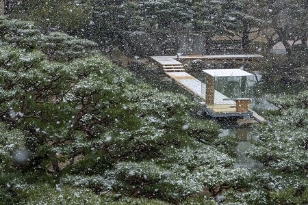 京都市京セラ美術館 日本庭園での展示風景、2020年
