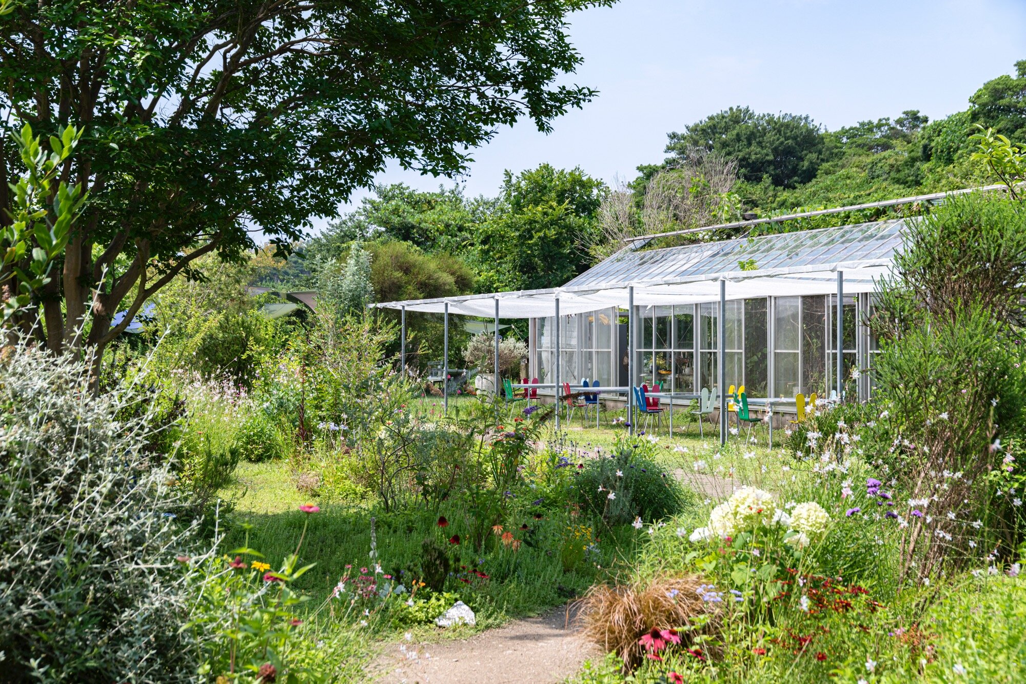 ベネッセアートサイト直島 バックグラウンドツアー Vol.6　犬島の過去から未来を考える ～石切り場から犬島 くらしの植物園まで～