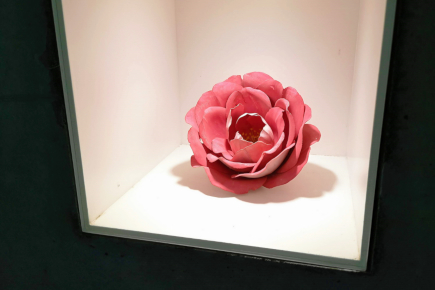 須田悦弘 ベネッセハウス展示作品「バラ」公開メンテナンスの記録