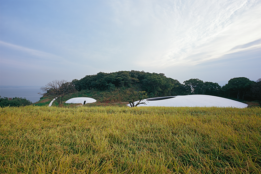 夜を徹してつくられた継ぎ目のないコンクリート・シェル構造の屋根――豊島美術館